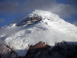 images 10
