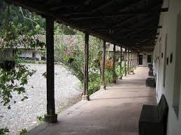 images 19