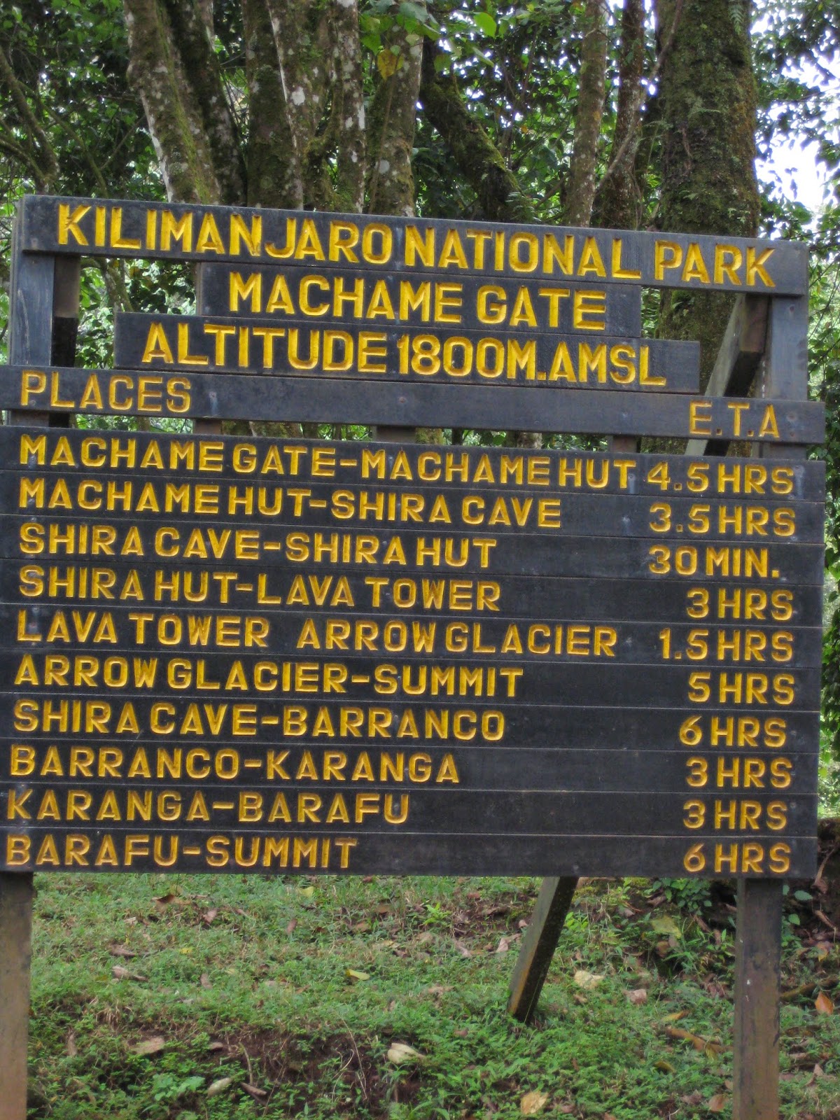Kilimanjaro Expedition 4 Machame Route Trailhead, Kilimanjaro National Park.