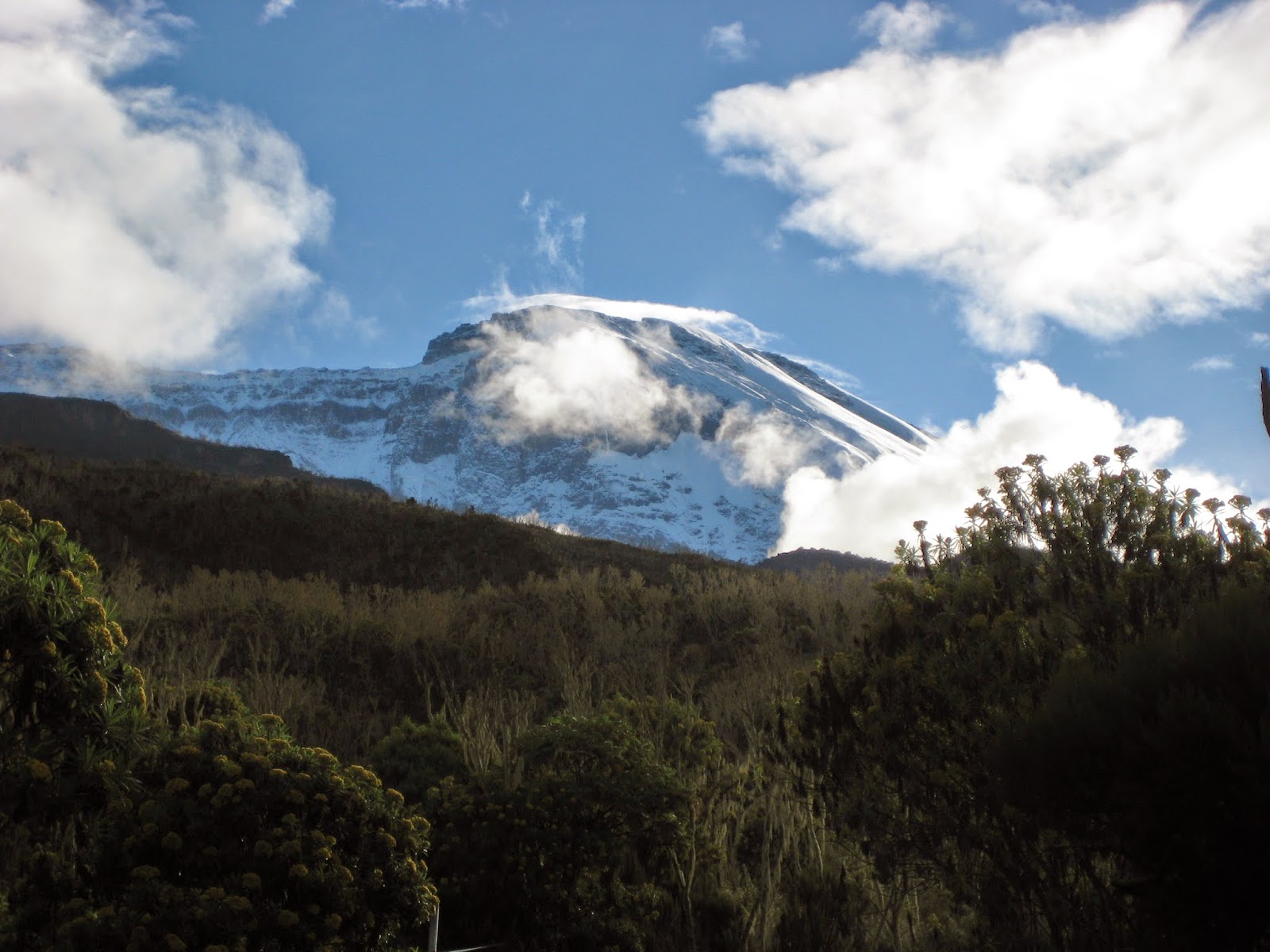 Route Profile: Kilimanjaro - Machame Route 4 img 1104 2