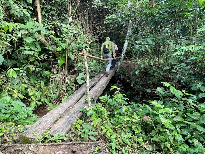 Laos Jungle Trek