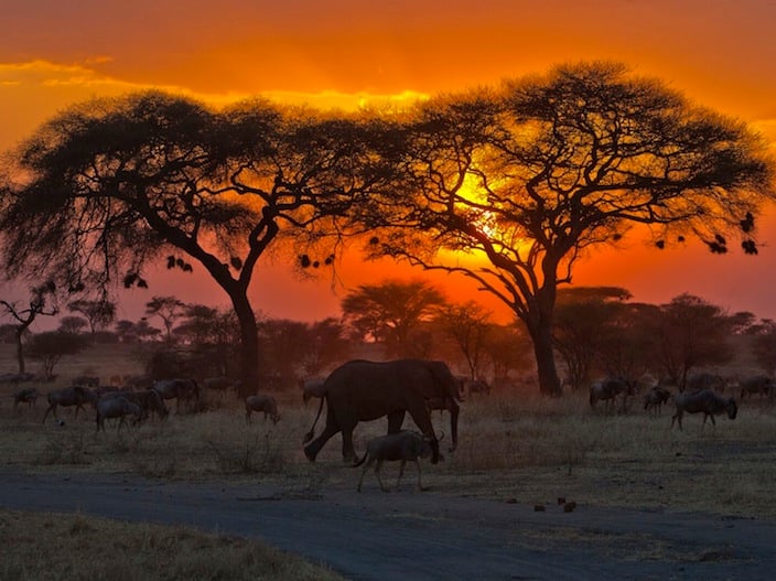 Sunset on the plains of Africa