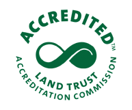 Climbing and Outdoor News from Here and Abroad - 8/13/15 1 ltac seal green crop