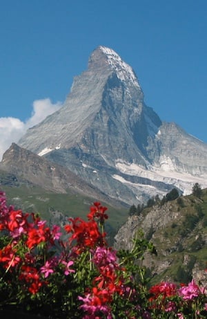 Matterhorn and Flowers