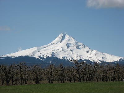Sibling Rivalry - Mount Adams vs. Mount Hood 2 mthood