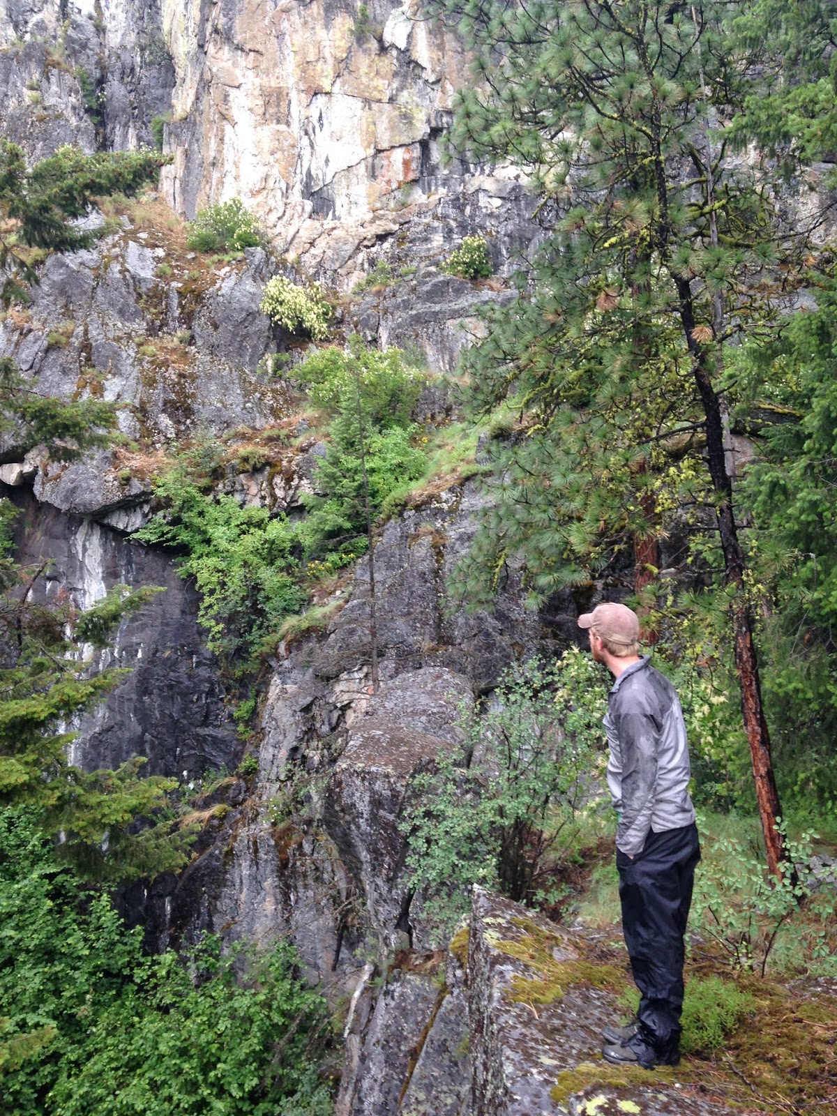 AAI Guide and Program Coordinator Help With Washington Golden Eagle Study 4 photo 4