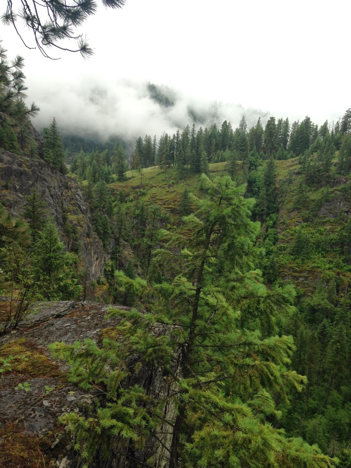AAI Guide and Program Coordinator Help With Washington Golden Eagle Study 3 photo 5