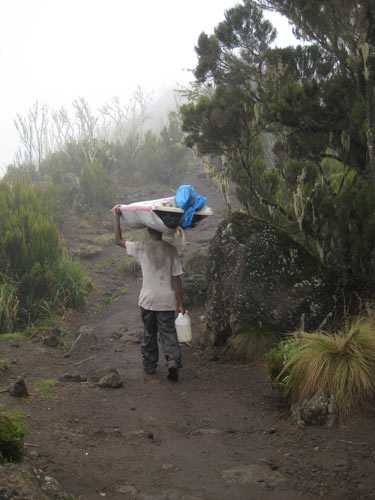 porter carrying load in the rain