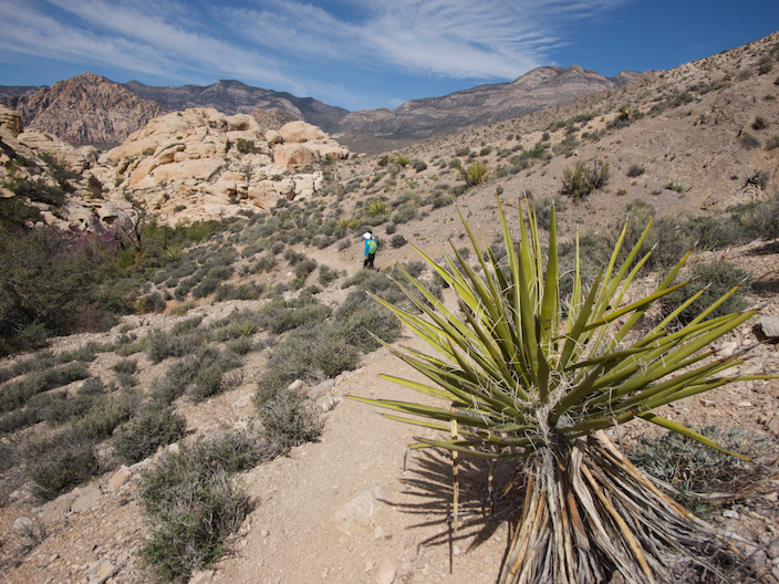 Trail through Red Rock