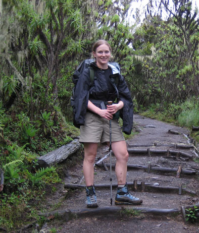 Just out of the rainforest, toward the moorland