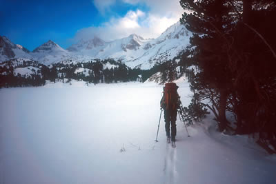 Rock Creek Drainage, Eastern Sierra