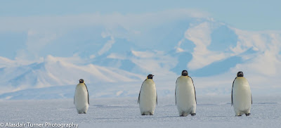 A Season of Living and Working in Antarctica - Part III 1 small 6266