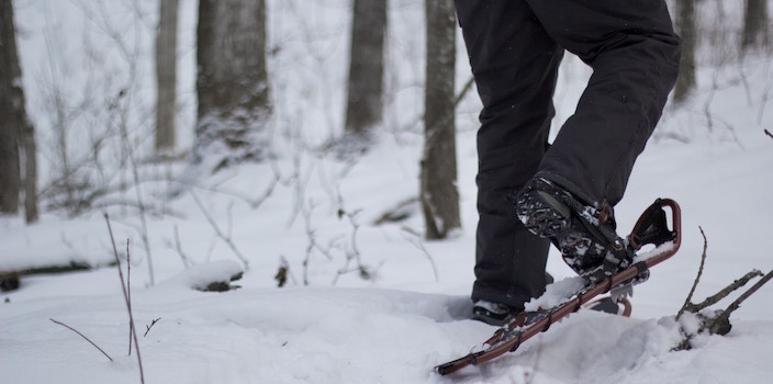 Close Up Snowshoe