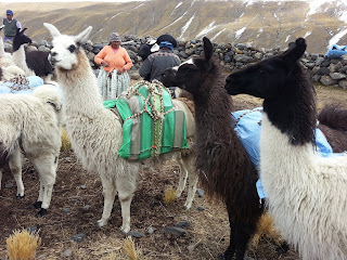 2015 Bolivia La Paz Trek - August 21th, Dispatch #3 with Photos 3 trek 3
