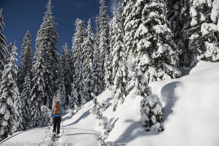 Leavenworth and Stevens Pass Avalanche Course 7 web 3811
