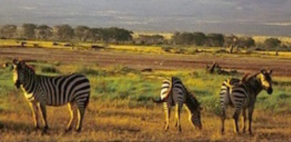 East Africa