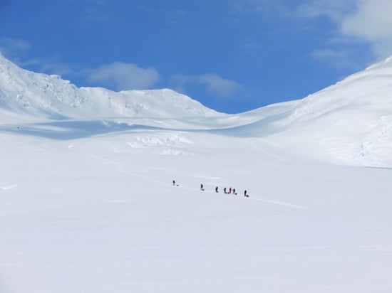 Lower Kahiltna Glacier 13 Climbers heading up Ski Hill just above Camp 1.