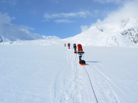Lower Kahiltna Glacier 17 Rope teams just outside of Camp 1 with Ski Hill and Kahiltna Pass looming above.