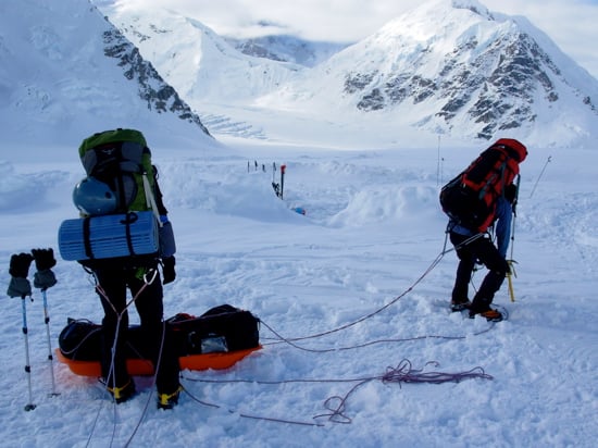 Lower Kahiltna Glacier 20 Climbers prepare to drop their loads after reaching camp.