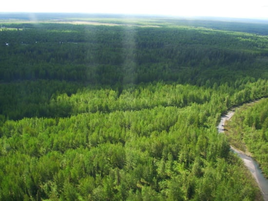 The Susitna River just outside of Talkeetna after take-off.