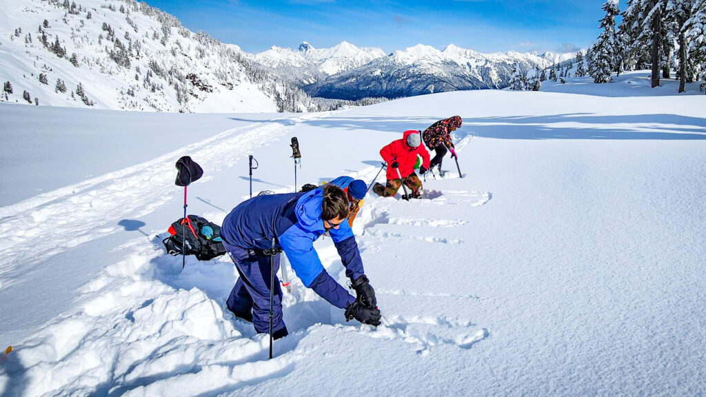 American Alpine Institute AIARE Avalanche 1 students practice hand shear tests of the snowpack in the Mt. Baker backcountry