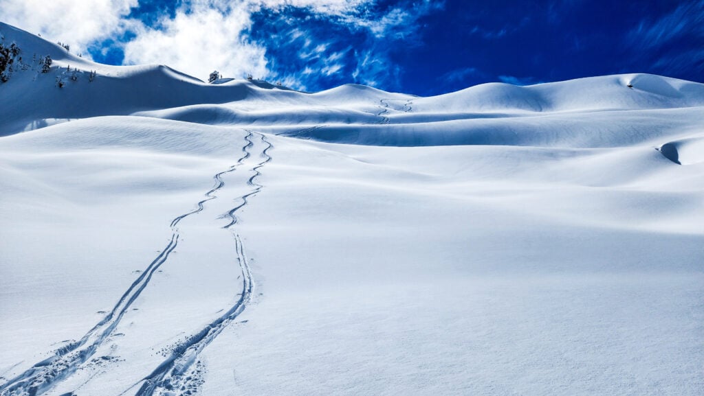 Fresh ski track in powder from a recent snow in the Mt. Baker backcountry during an American Alpine Institute AIARE Avalanche course