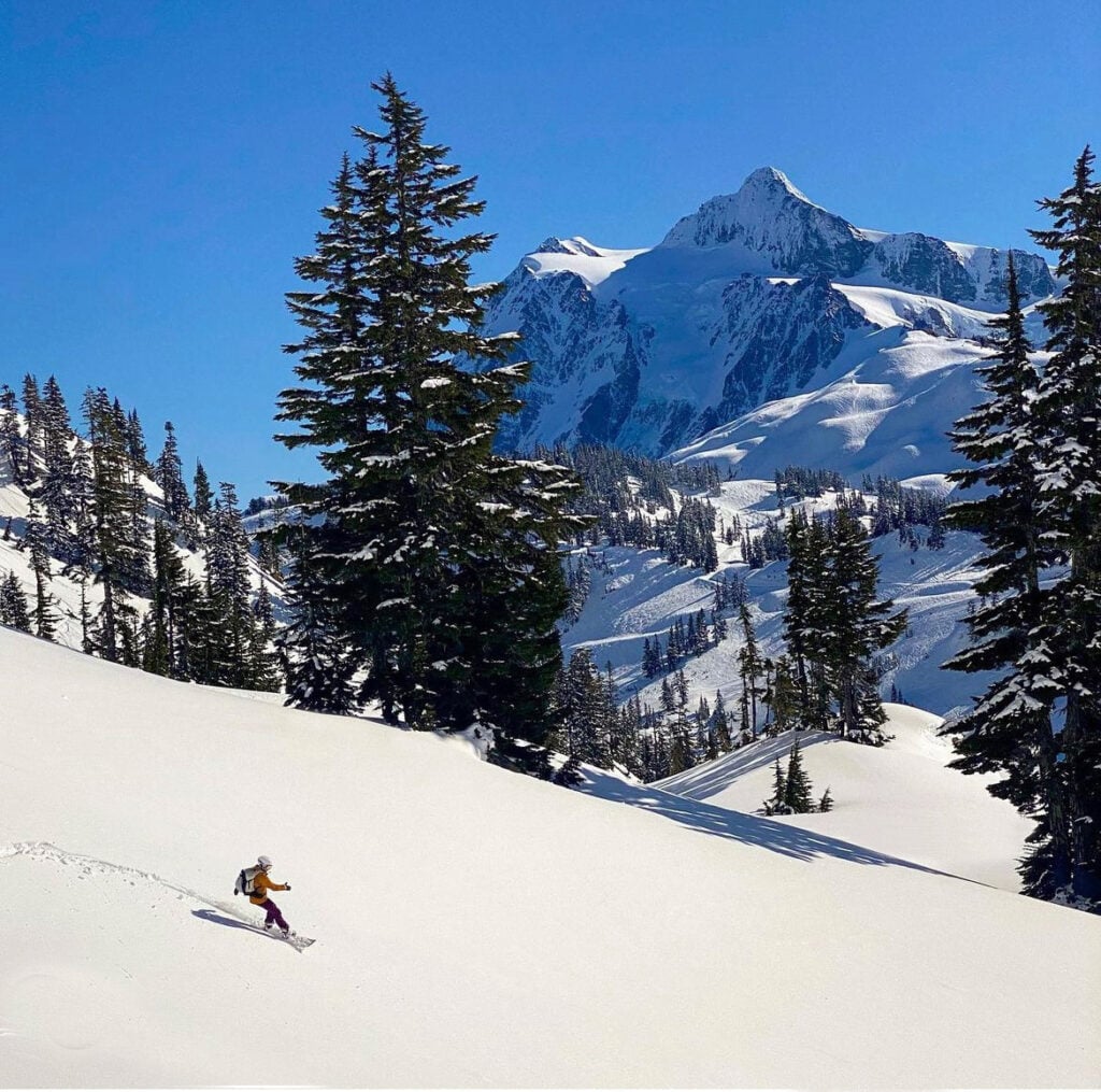 A splitboarder enjoys fresh tracks in backcountry powder during an American Alpine Institute splitboarding course in the Mt. Baker backcountry with Mt. Shuksan in the background