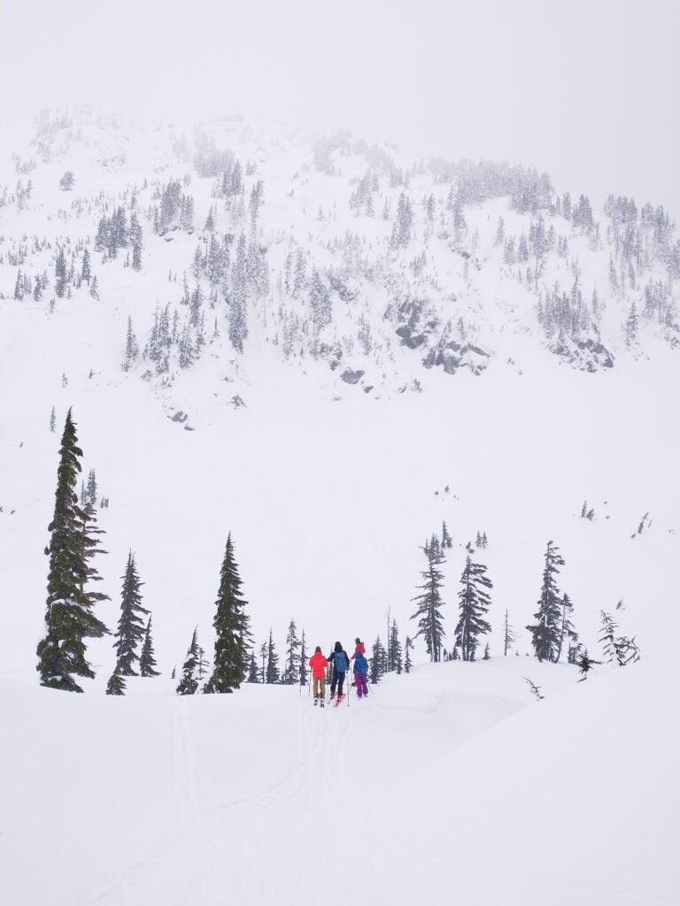 Skiers look at the scenery during the AIARE Rescue course with the American Alpine Institute in the Mt Baker backcountry