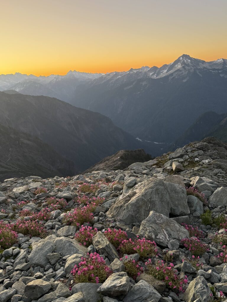 Leave No Trace Level 2 Instructor Course 1 Alpine Sunset Aug 23 2025 Taylor Capps Student 1