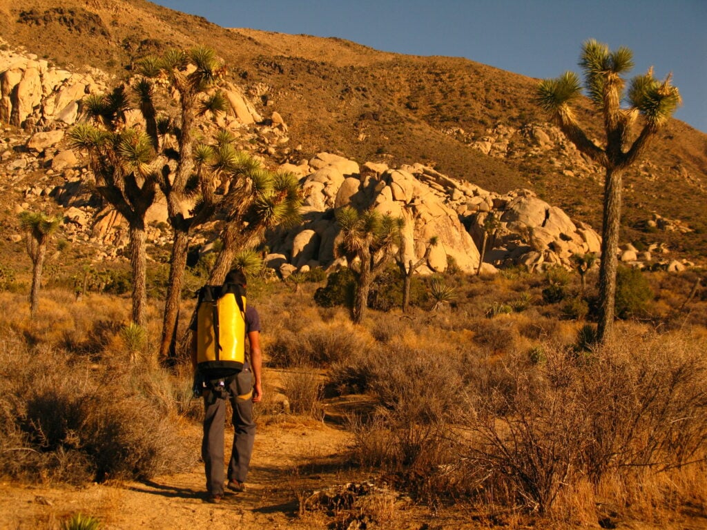 Climbing and Outdoor News from Here and Abroad - 11/27/2025 3 JT 1