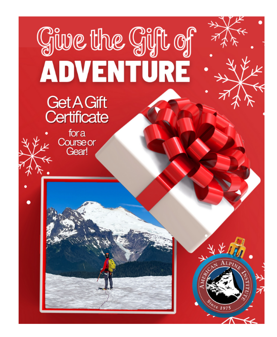 Gift Cert
