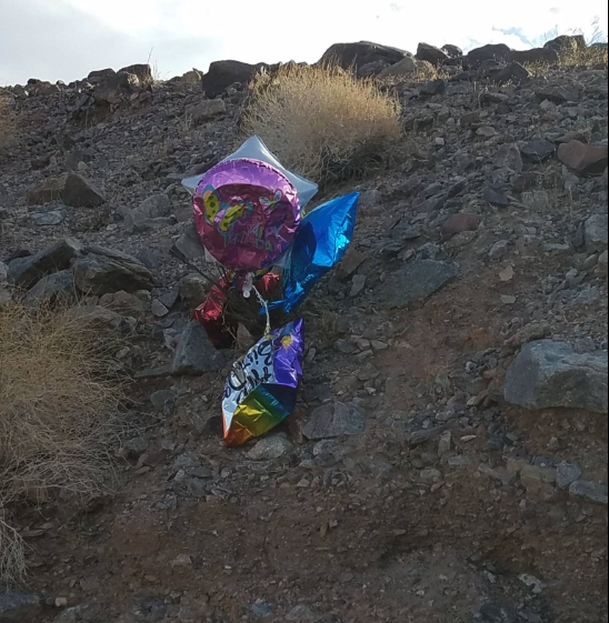 Balloons are Litter 1 Screenshot 2025 12 22 at 12.08.03 PM